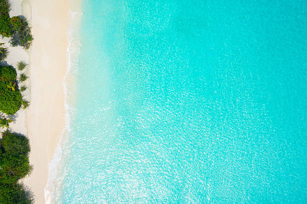 istock aerial ocean and beach 463803735