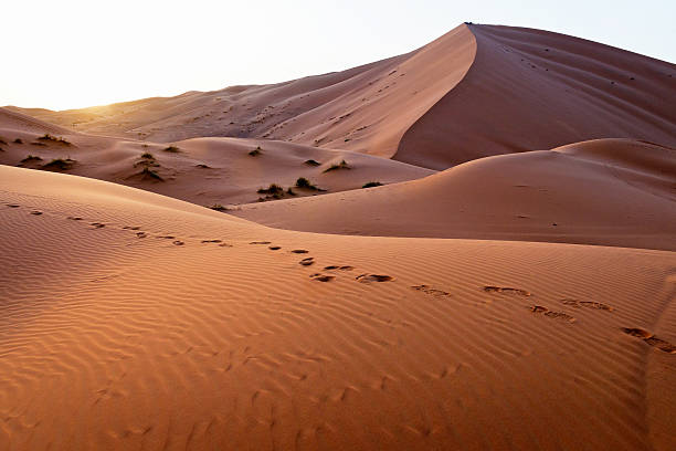 istock Morning at Erg Chebbi Sand Dunes, Morocco, Africa 463804461