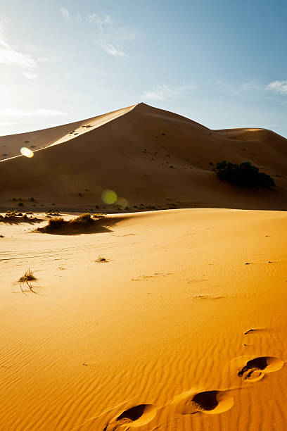 istock Morning at Erg Chebbi Sand Dunes, Morocco, Africa 463804545
