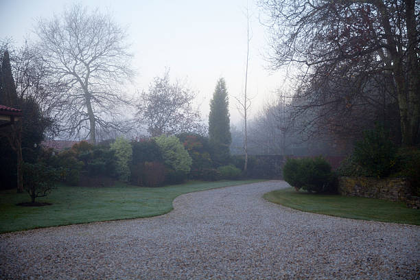 istock Misty morning in the garden 463804669