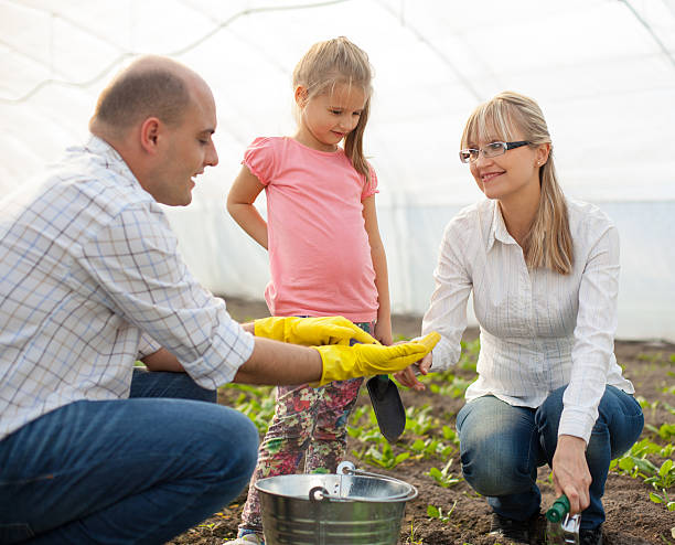 istock Family planting spinach 463805845