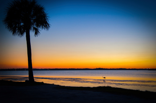 Lake at sunset, Black Point Wildlife Drive, Merritt Island National Wildlife Refuge, Titusville, Florida, USA