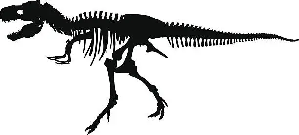 Vector illustration of dinosaur skeleton vector silhouette