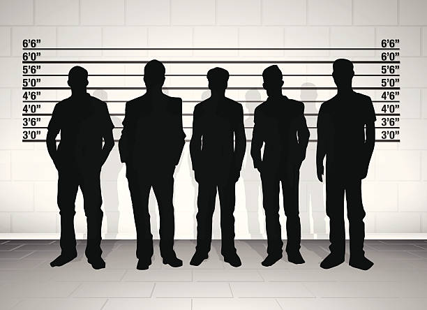 Black silhouetted police line up illustration of a police lineup human height stock illustrations