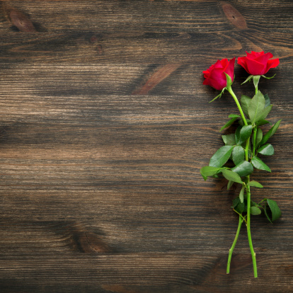 Red roses on wooden background with copy space