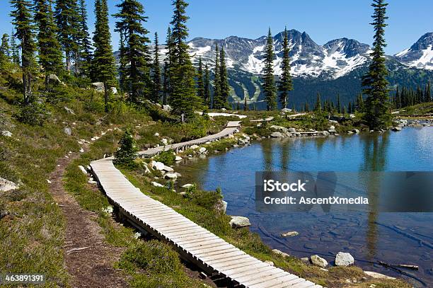 Harmony Lake Stockfoto und mehr Bilder von Berg Whistler Mountain - Berg Whistler Mountain, Sommer, Bildhintergrund