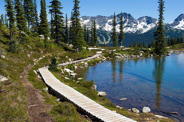 Harmony Lake Boardwalk trail at Harmony Lake with 7th Heaven in the Background whistler mountain stock pictures, royalty-free photos & images