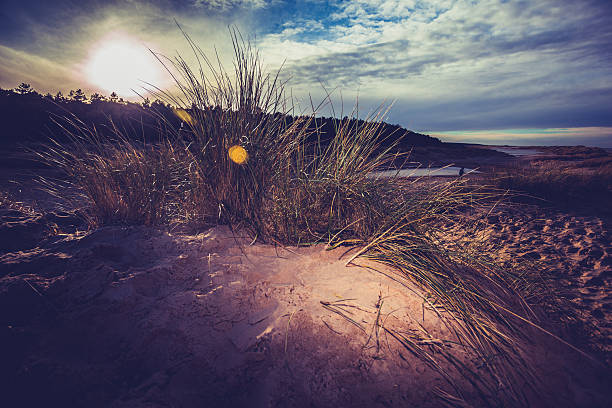 pôr do sol na praia de inverno - sunset beach flash - fotografias e filmes do acervo