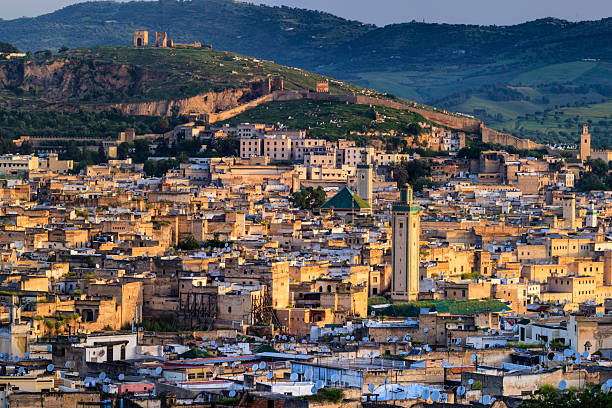istock Panoramic view of Medina in Fez 463932863