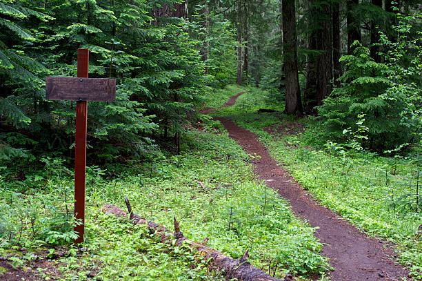 istock Forest Hiking Trail Blank Sign Western Oregon Mountain 463939751