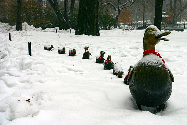 бостон winter - boston winter snow massachusetts стоковые фото и изображения