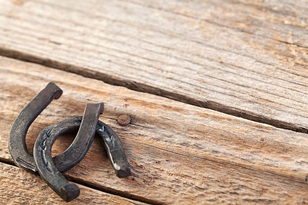 istock Small Horseshoes on Wood 463946539