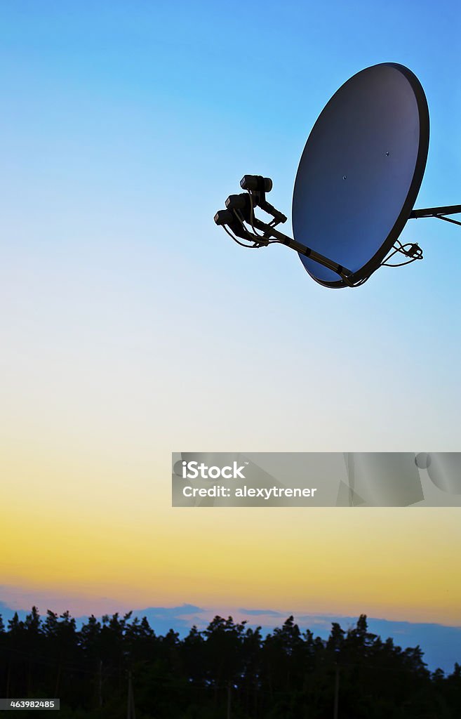 parabolic antenna on forest and sky background Animal Antenna Stock Photo