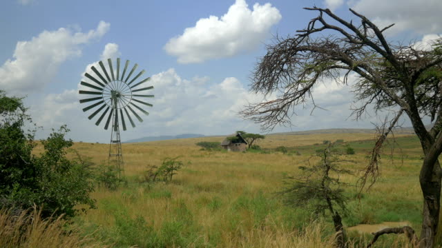 Windmill and an old house in African Safari