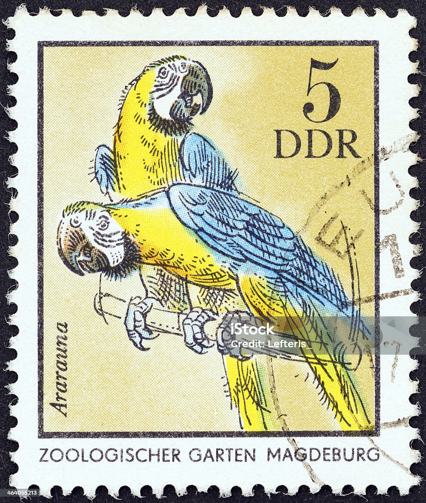 German stamp shows Blue and Yellow Macaws (1975) GERMAN DEMOCRATIC REPUBLIC - CIRCA 1975: A stamp printed in Germany from the "Dresden Zoo Animals" issue shows Blue and Yellow Macaws, circa 1975. Animal Stock Photo