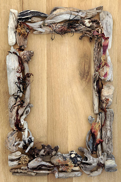 istock Seaweed and Driftwood Border 464056551