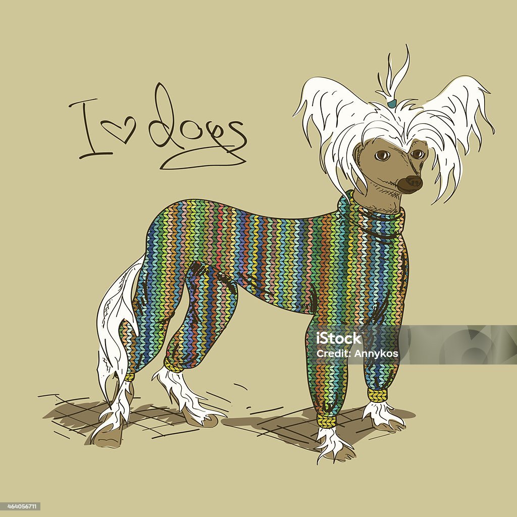 Illustration with Chinese Crested dog Illustration with Chinese Crested dog dressed in knitted clothes Dog stock vector