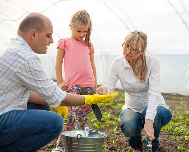 istock Family planting spinach 464060533