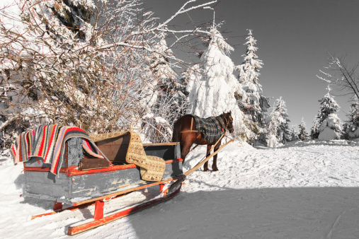 Horse and sleigh in the Ukrainian Carpathians