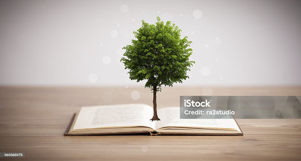 Tree growing from an open book Tree growing from an open book, alternative recycling concept Agriculture Stock Photo