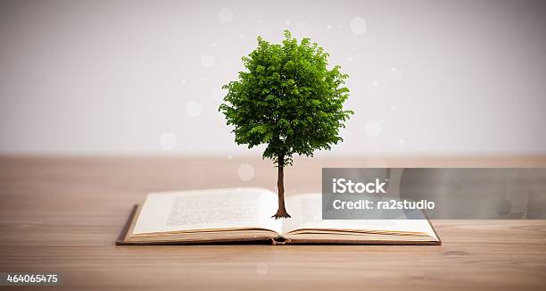 Tree Growing From An Open Book Stock Photo - Download Image Now - Agriculture, Backgrounds, Book