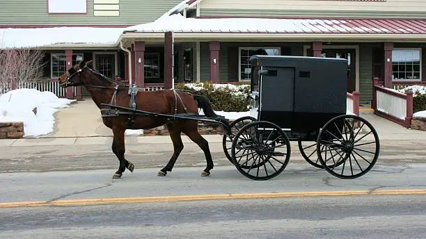 Photo of Amish buggy and horse in town
