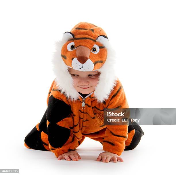 Neonato In Costume Da Tigre - Fotografie stock e altre immagini di