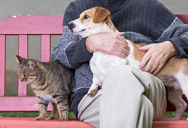 istock A man with a dog on his lap and a cat beside him 464090479