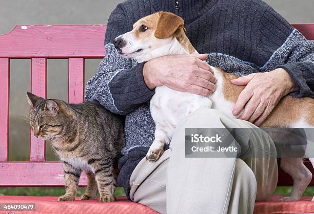A Man With A Dog On His Lap And A Cat Beside Him Stock Photo - Download Image Now - Dog, Domestic Cat, People