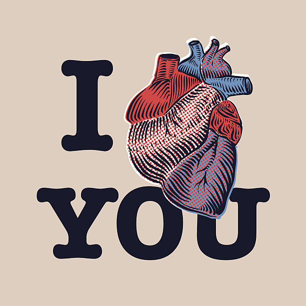 walentynki karty z serca człowieka. - heart shape human vein love human artery stock illustrations
