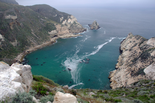 Cliffside view of Potato Harbor with sea lions, Santa Cruz, Channel Islands.