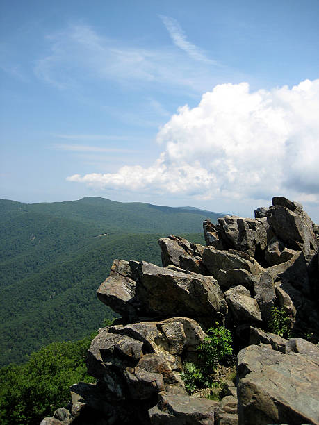 istock Shenandoah National Park 464106627