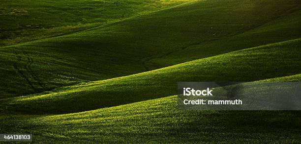 Campos Da Toscana - Fotografias de stock e mais imagens de Abstrato - Abstrato, Agricultura, Ajardinado