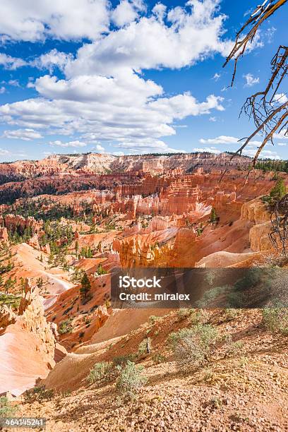 Panorama Von Queens Garden Im Bryce Canyon National Park Utah Stockfoto und mehr Bilder von Berg