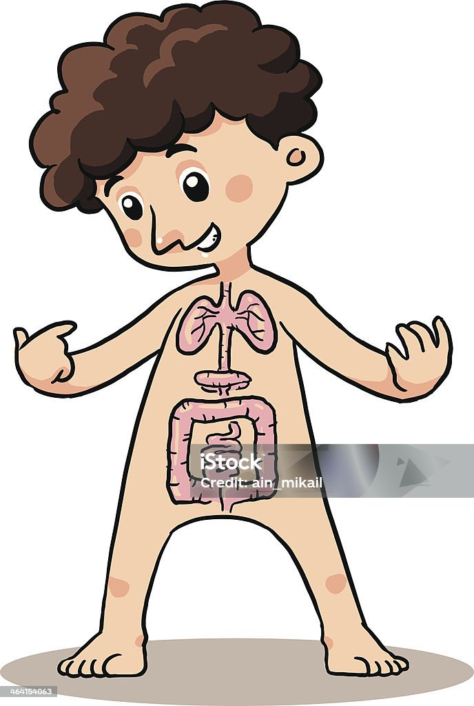 Child Body Organ Body organ explaining of a child. Abdomen stock vector