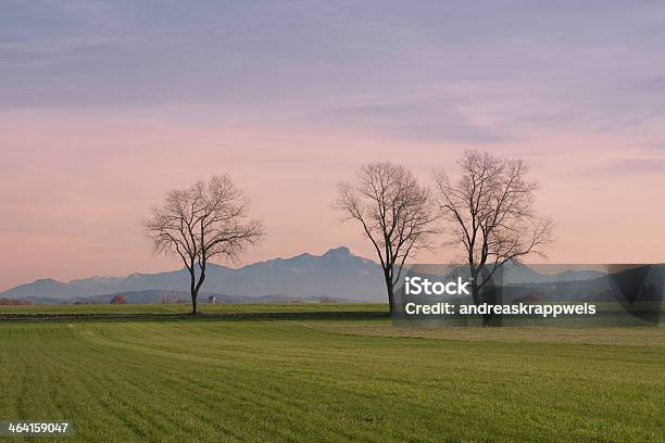 Trees In Fields With Wendelstein Mountains Background Stock Photo - Download Image Now