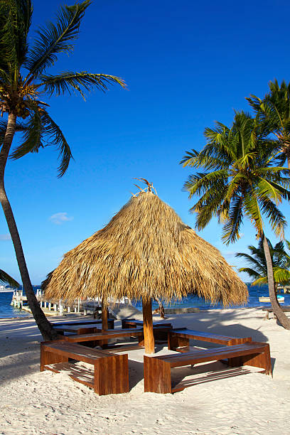 istock Grass umbrella  on caribbean beach 464163839