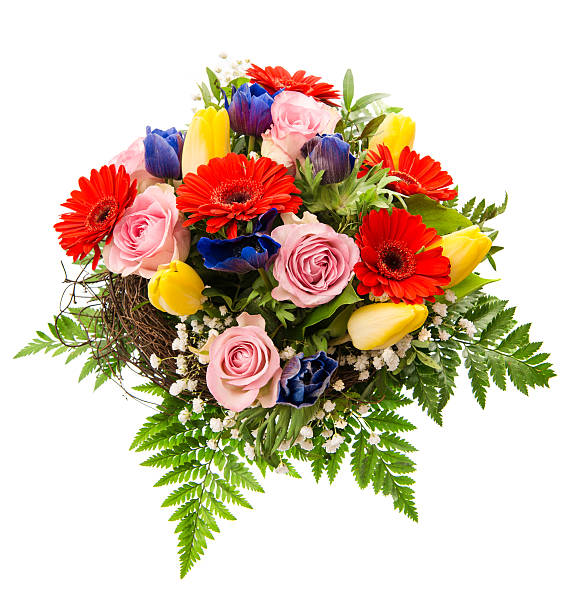 신선한 색상화 연두빛 꽃다발 부케 - bouquet tulip greeting card gerbera daisy 뉴스 사진 이미지