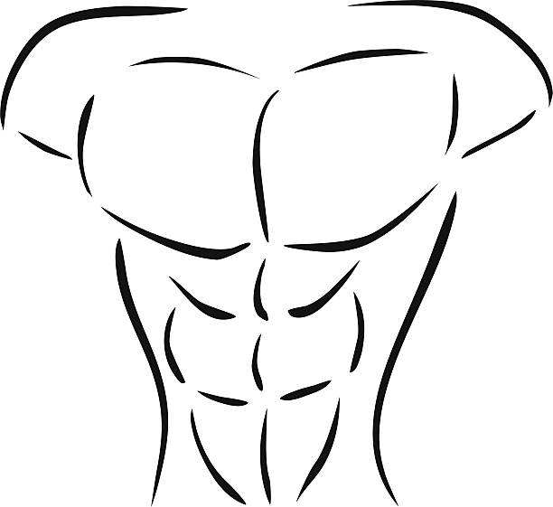 筋肉のボディ - human muscle the human body anatomy body点のイラスト素材／クリップアート素材／マンガ素材／アイコン素材