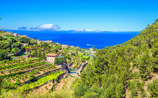 Banyalbufar Banyalbufar a seaside village located on the north coast of Mallorca at the Tramuntana´s mountains, and famous for the "marjades" (stepped slopes), agriculture and winery. banyalbufar stock pictures, royalty-free photos & images