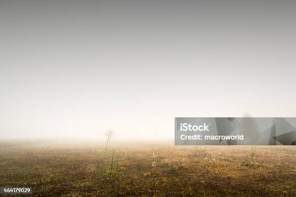 Nebbia Sulla Terra 36 Mpx - Fotografie stock e altre immagini di Albero - Albero, Ambientazione esterna, Ambientazione tranquilla