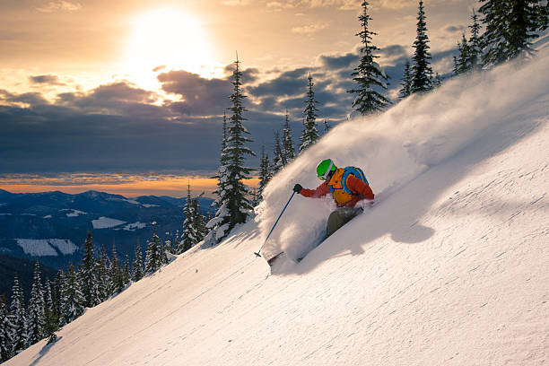 порошок на лыжах - skiing british columbia sports helmet tree стоковые фото и изображения
