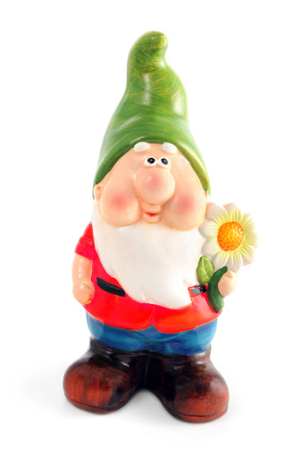 Garden Gnome with flower in hand isolated on what background.
