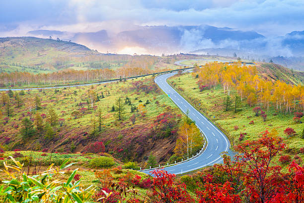 Mountain road Shiga Kusatsu road in Autumn, Gunma, Japan gunma prefecture stock pictures, royalty-free photos & images