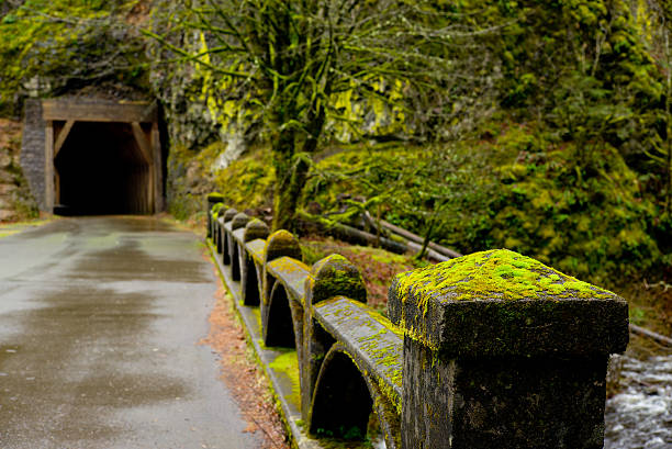 istock Moss-covered railing over bridge to tunnel 464206323