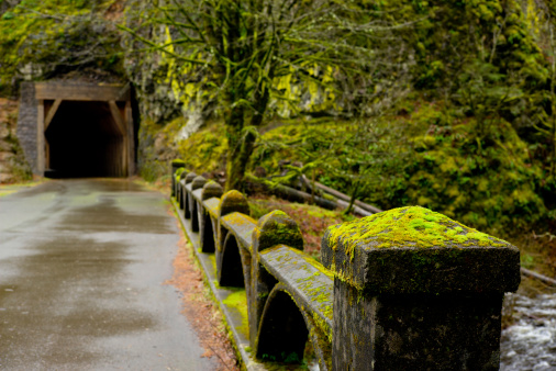 Moss-covered railing over bridge to tunnel