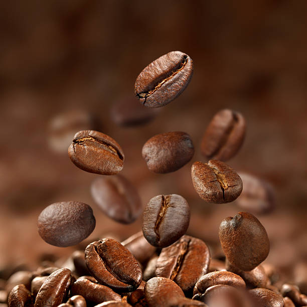 caída de granos de café tostado - caffeine selective focus indoors studio shot fotografías e imágenes de stock