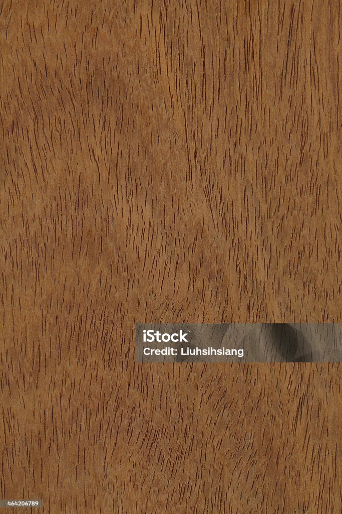 Текстура дерева - Стоковые фото Без людей роялти-фри