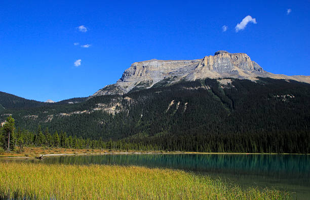 istock Fossils Range at Emerald Lake, Yoho National Park, Canada 464207115