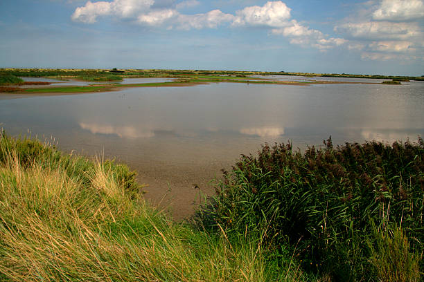istock Titchwell RSPB reserve 464212827